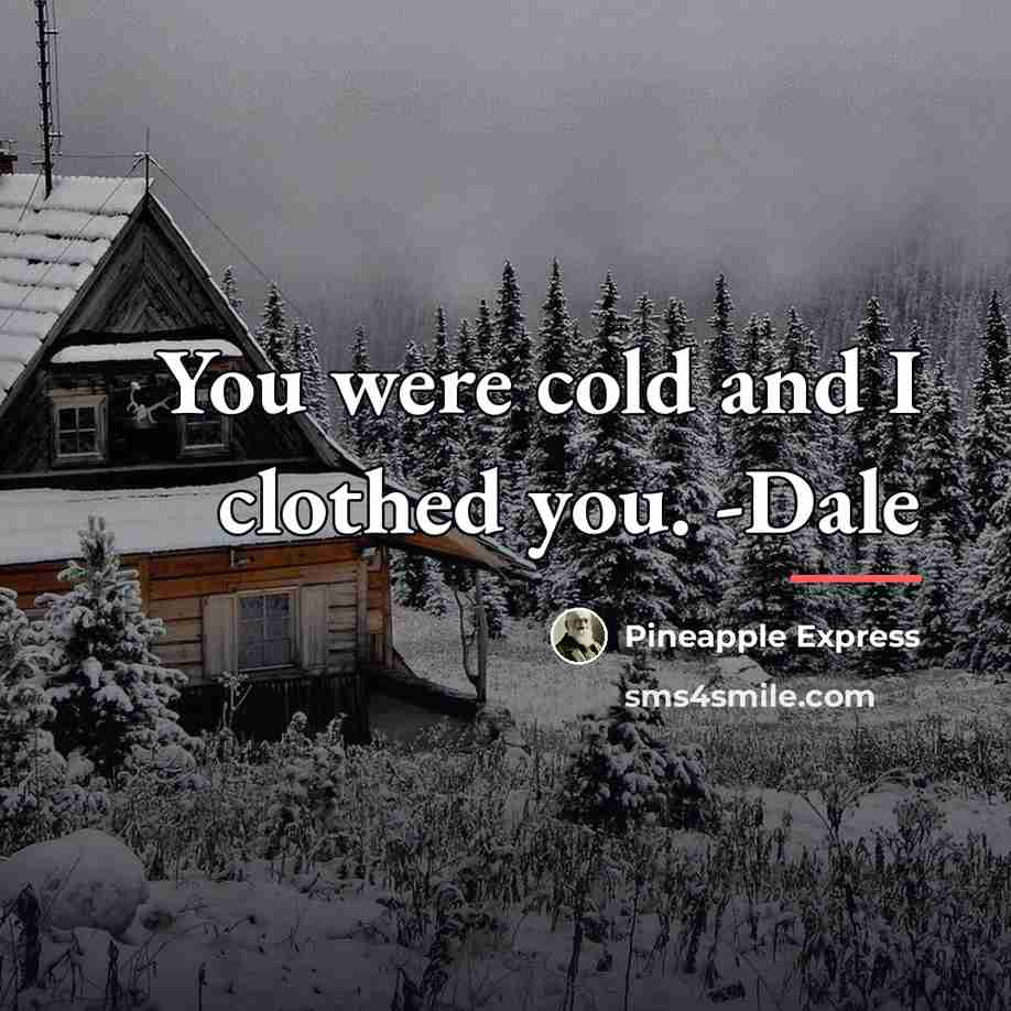“You were cold and I clothed you. -Dale…” quote by Pineapple Express