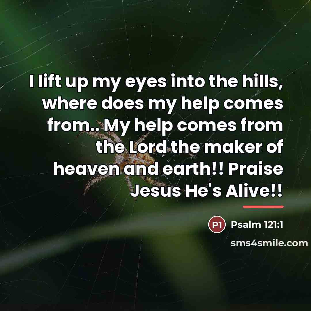 “I lift up my eyes into the hills, where does…” quote by Psalm 121:1