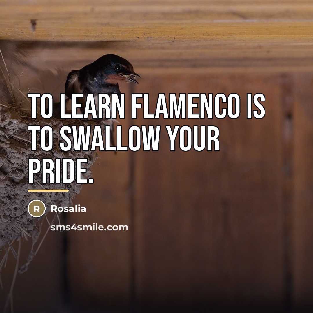 “To learn flamenco is to swallow your pride.…” quote by Rosalia