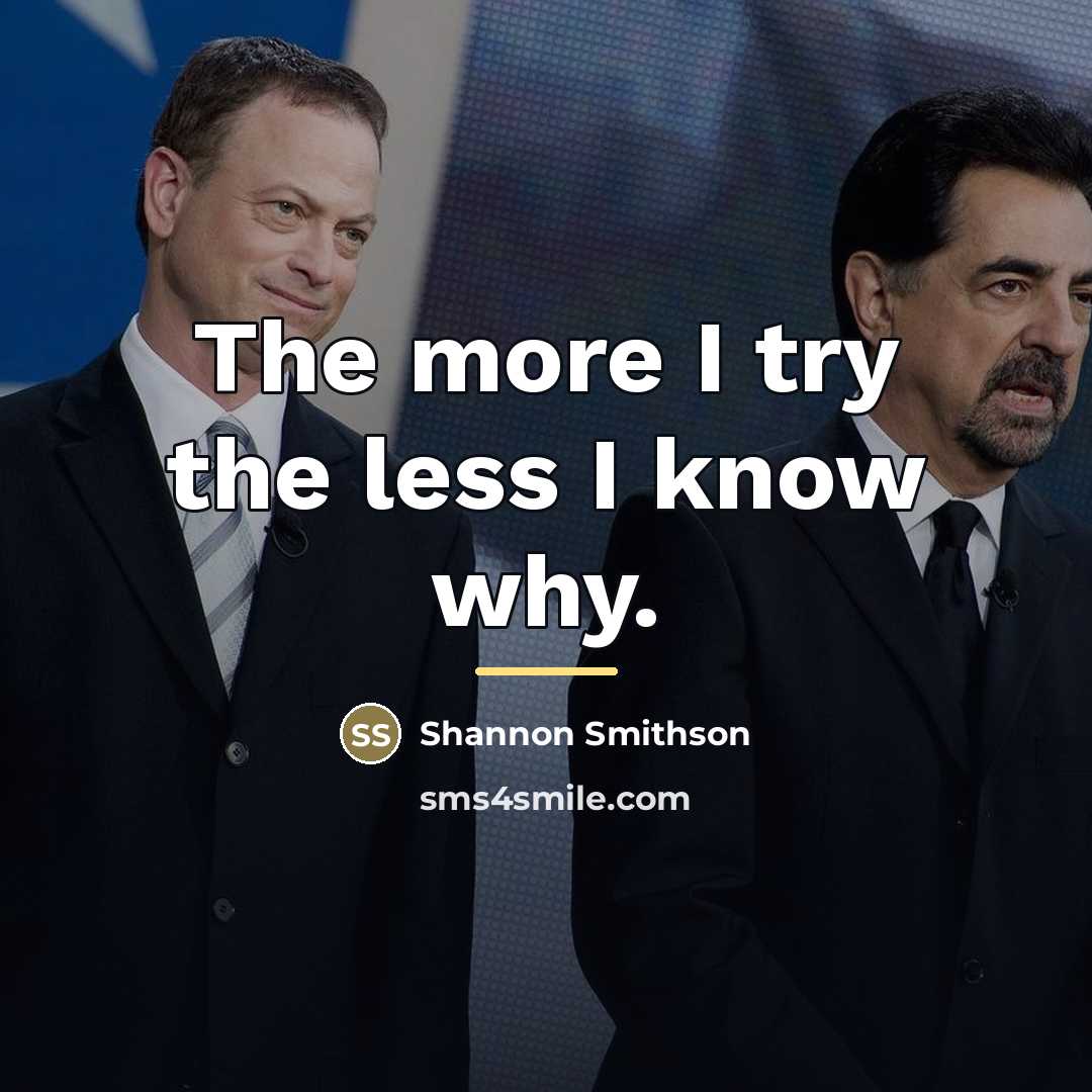 “The more I try the less I know why.…” quote by Shannon Smithson