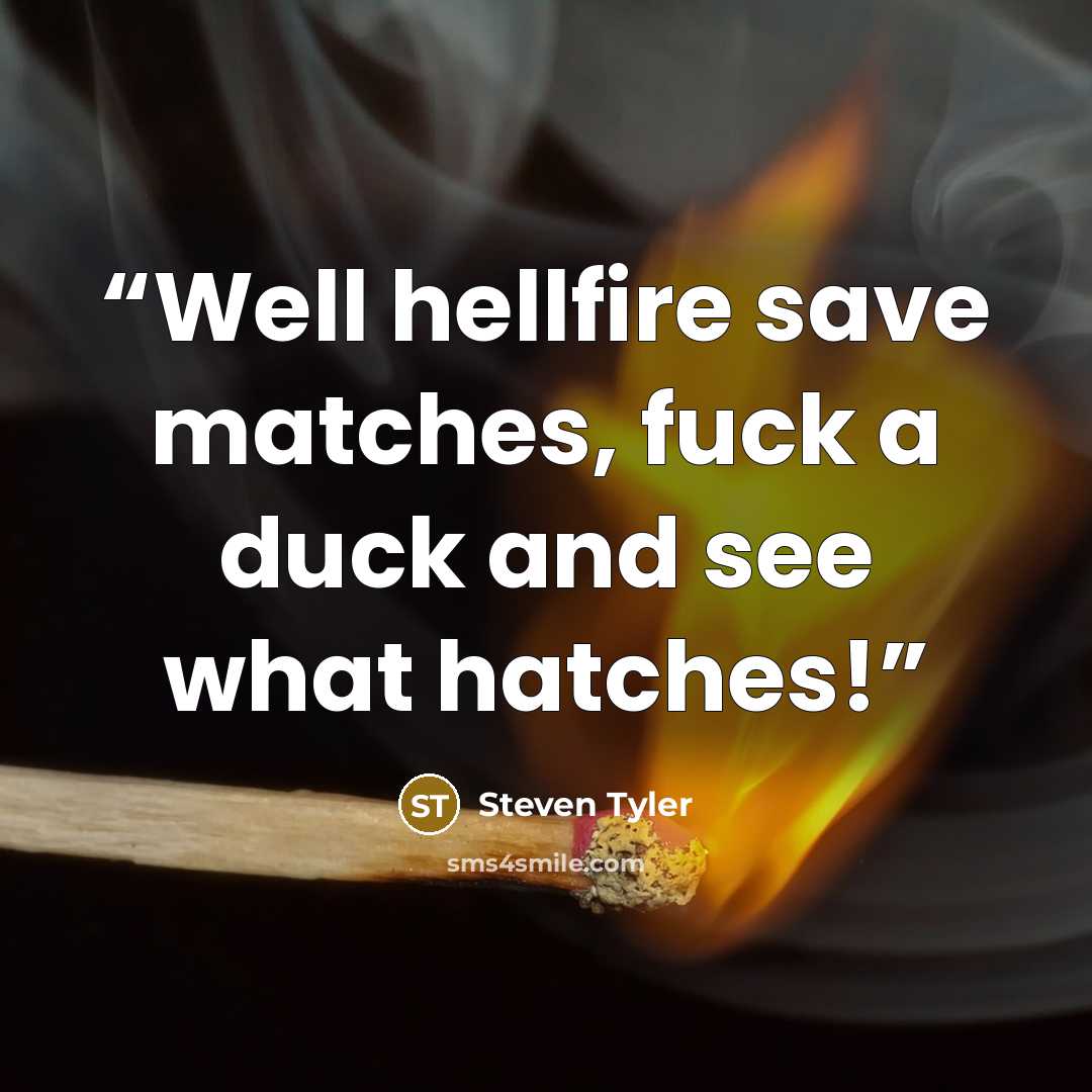 “Well hellfire save matches, fuck a duck and see what hatches!” quote by Steven Tyler