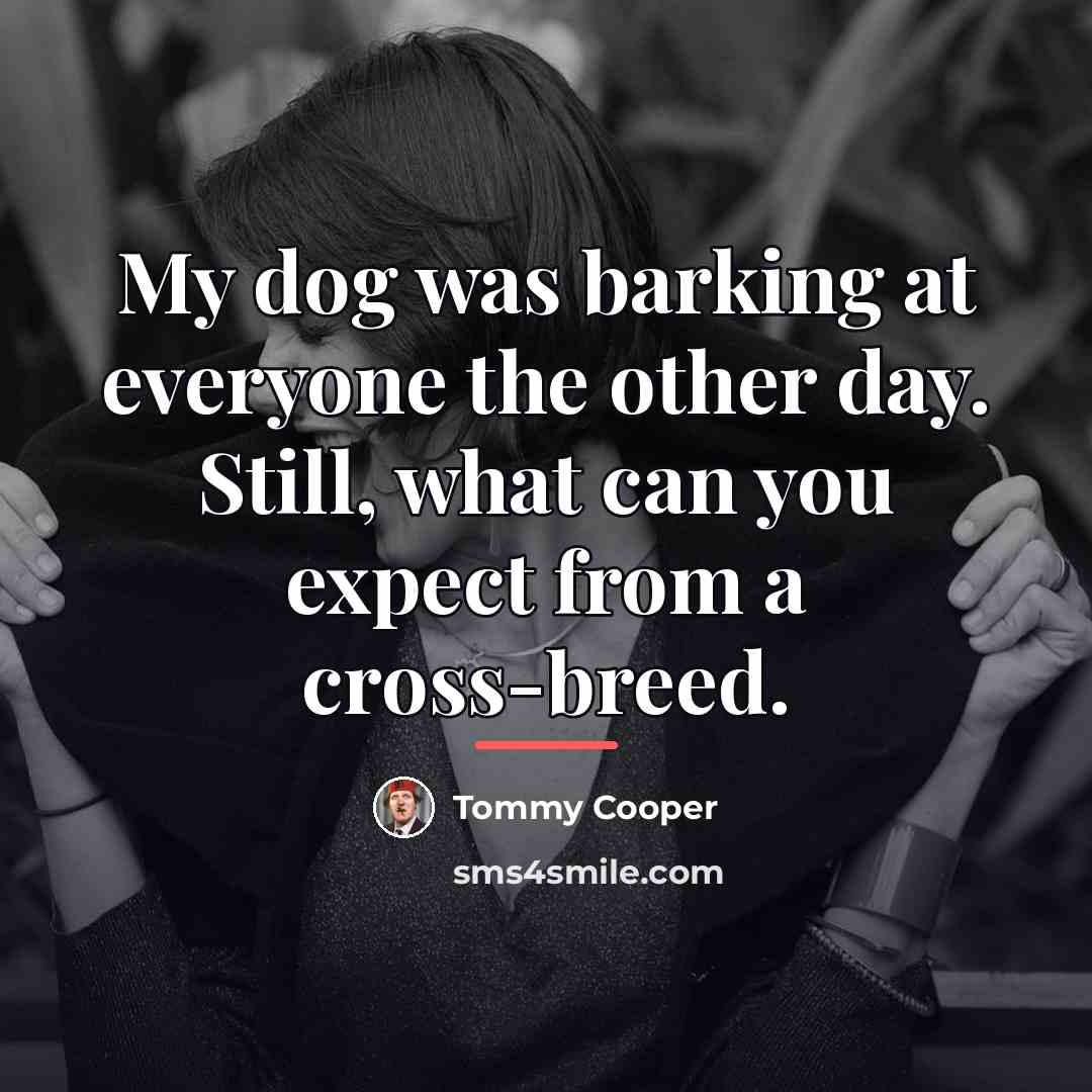 “My dog was barking at everyone the other day. Still,…” quote by Tommy Cooper
