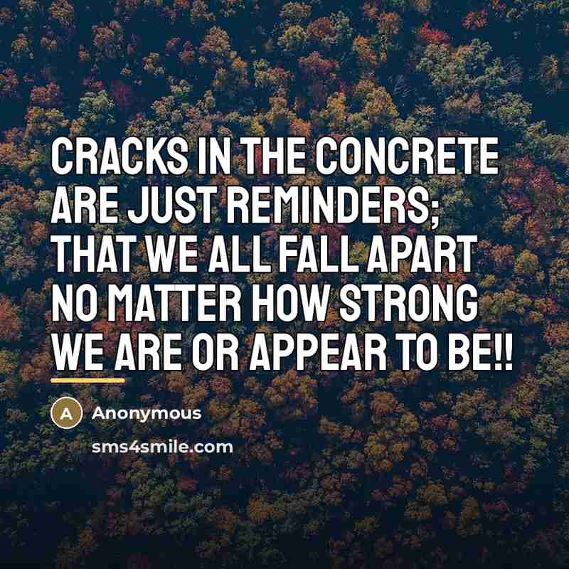 “Cracks in the concrete are just reminders; that we all…” quote by Anonymous