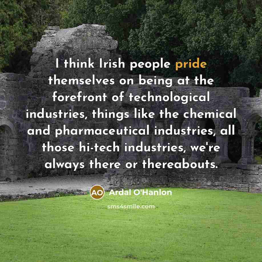 “I think Irish people pride themselves on being at the…” quote by Ardal O'Hanlon