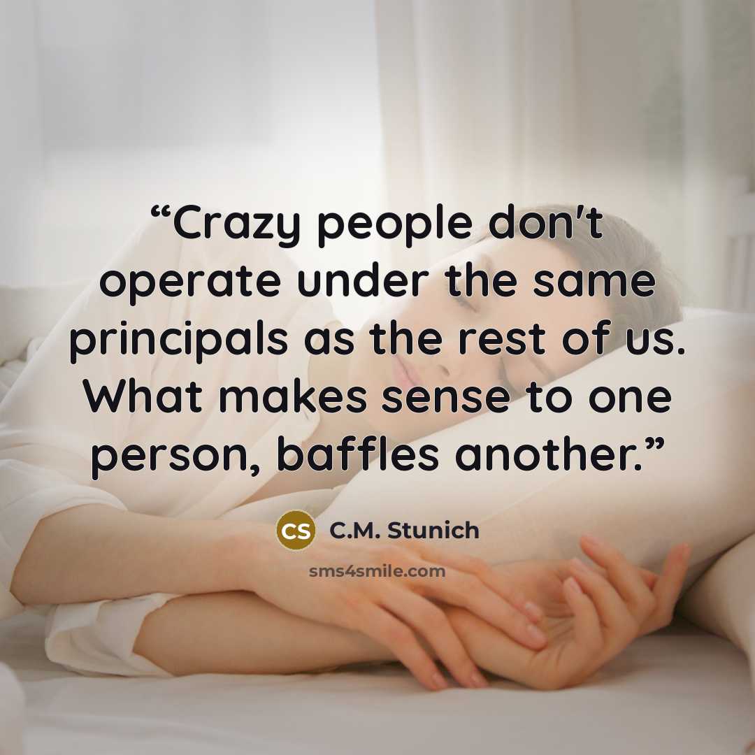 “Crazy people don't operate under the same principals as the rest of us. What makes sense to one person, baffles another.” quote by C.M. Stunich