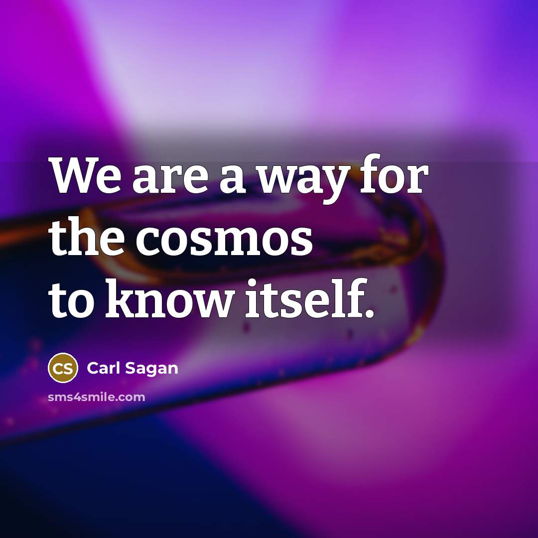 “We are a way for the cosmos to know itself.…” quote by Carl Sagan