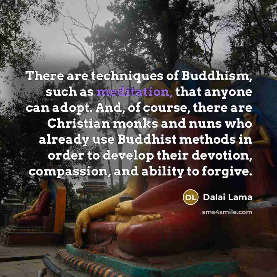 “There are techniques of Buddhism, such as meditation, that anyone…” quote by Dalai Lama