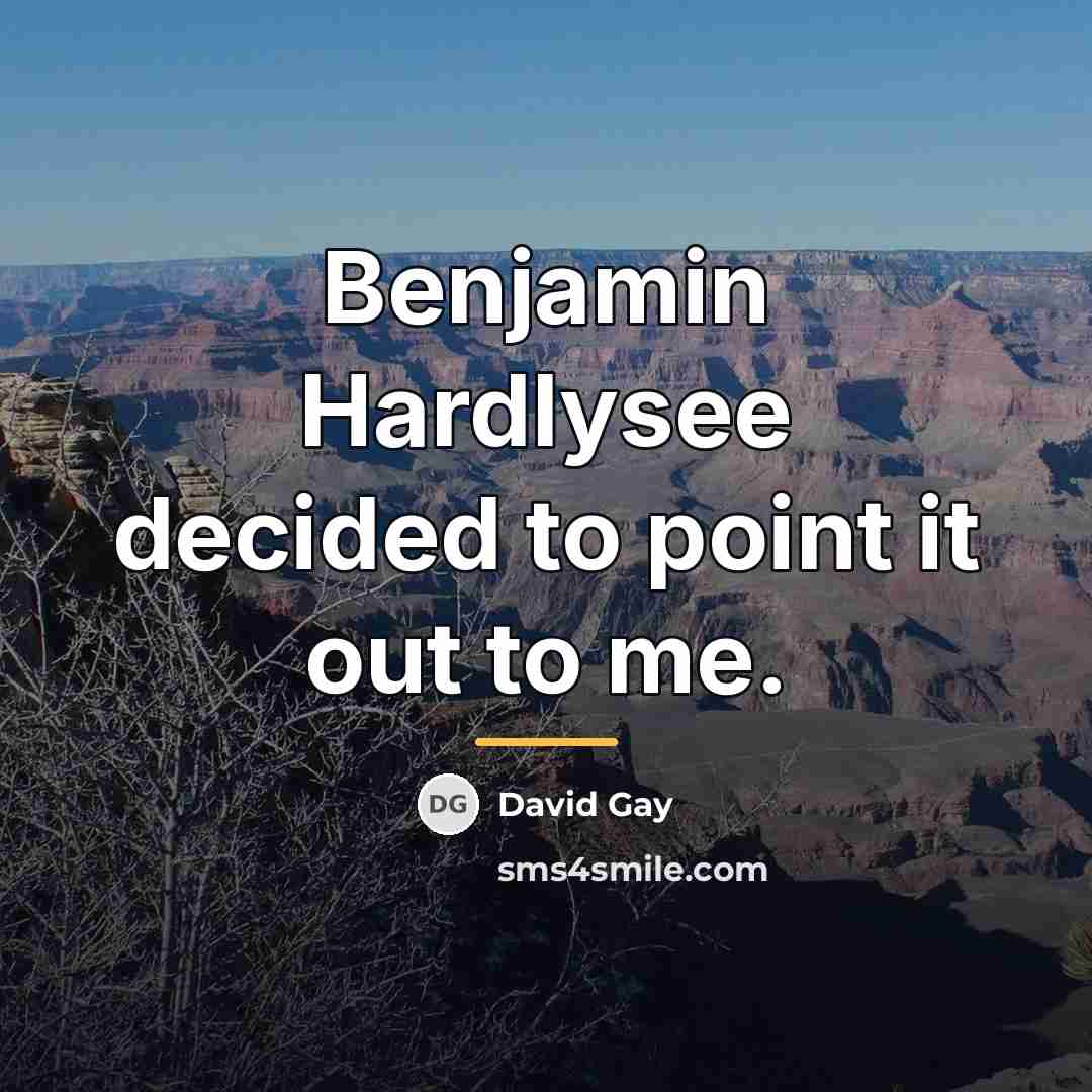 “Benjamin Hardlysee decided to point it out to me.…” quote by David Gay