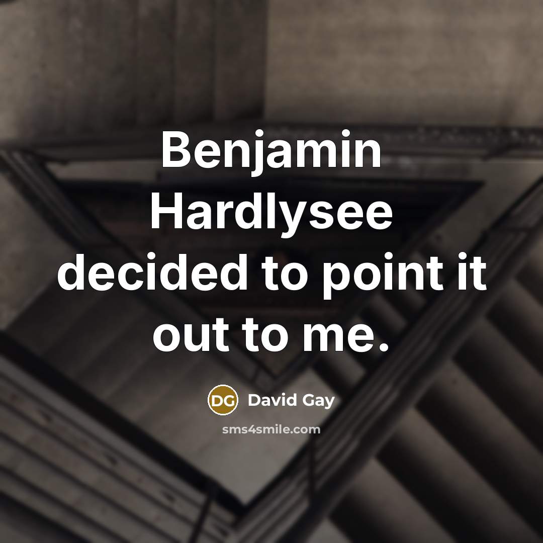 “Benjamin Hardlysee decided to point it out to me.” quote by David Gay
