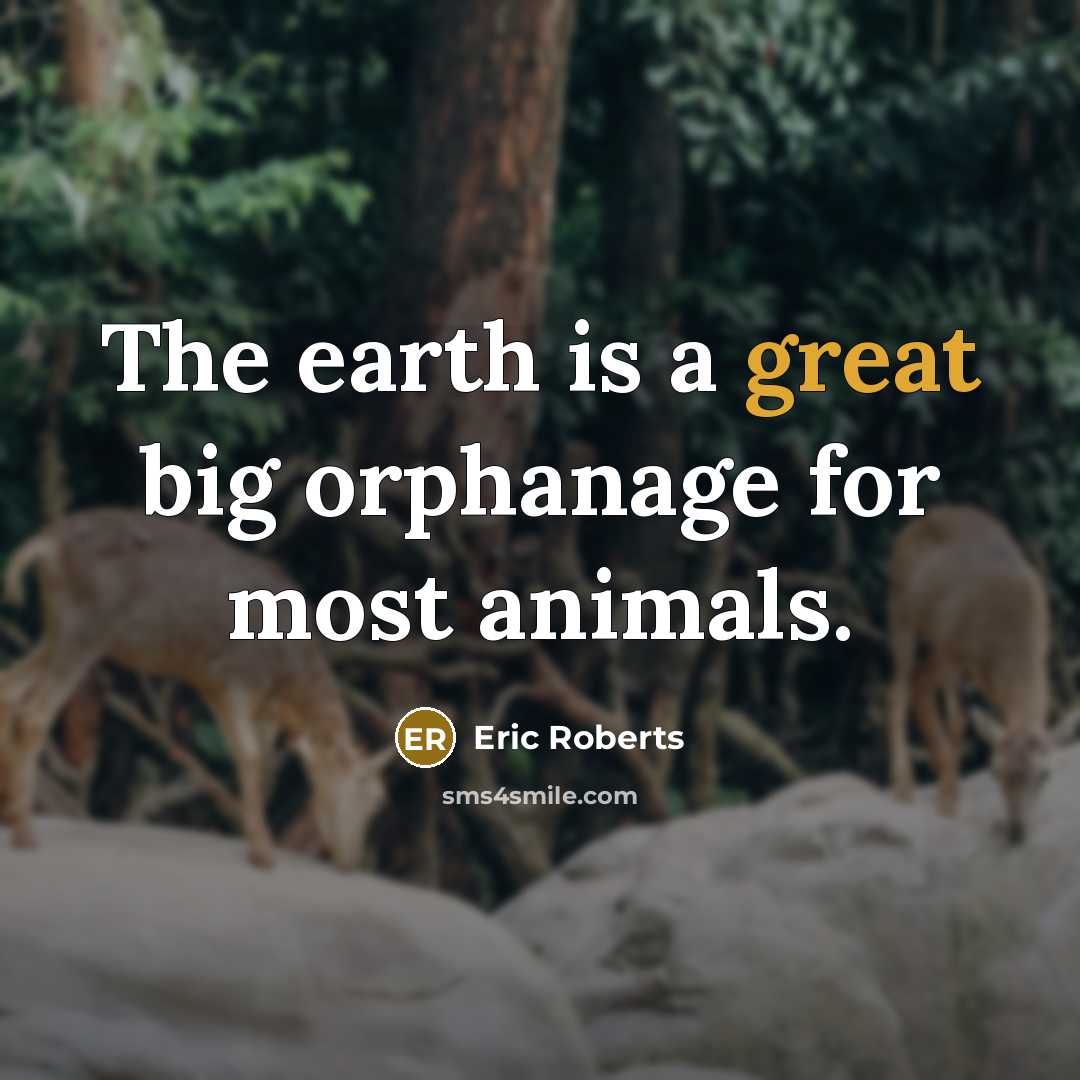 “The earth is a great big orphanage for most animals.…” quote by Eric Roberts