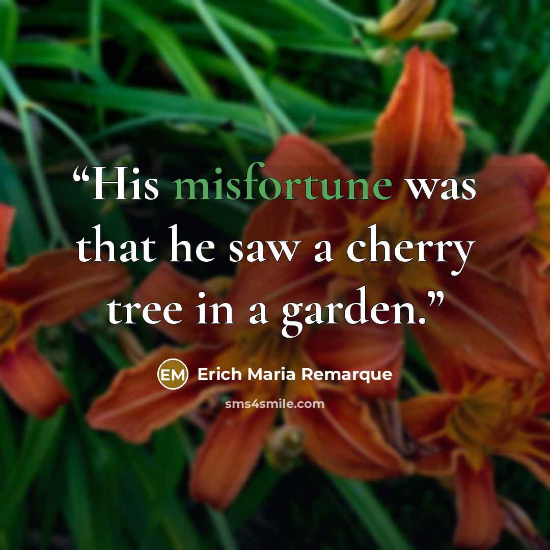 “His misfortune was that he saw a cherry tree in a garden.” quote by Erich Maria Remarque