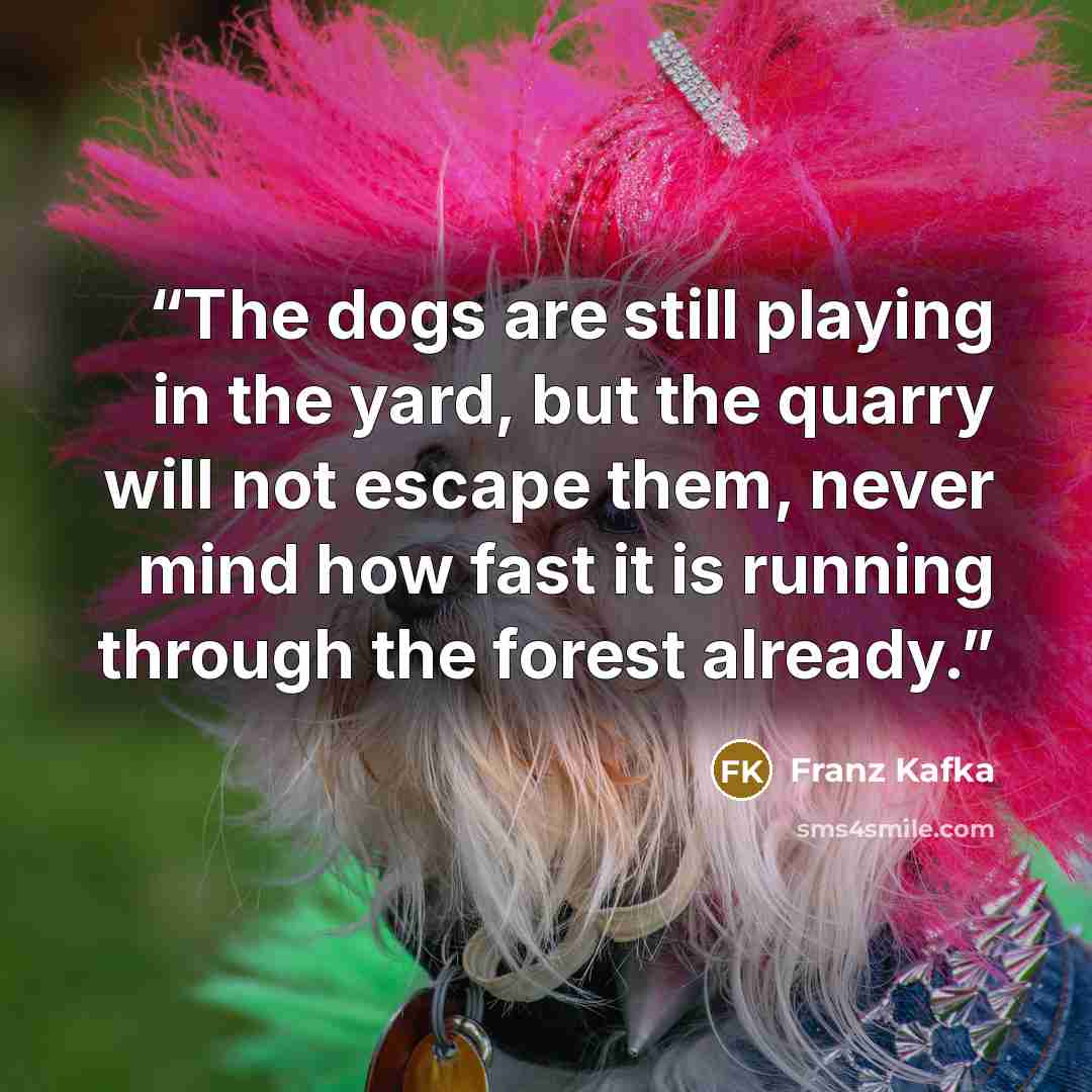 “The dogs are still playing in the yard, but the quarry will not escape them, never mind how fast it is running through the forest already.” quote by Franz Kafka