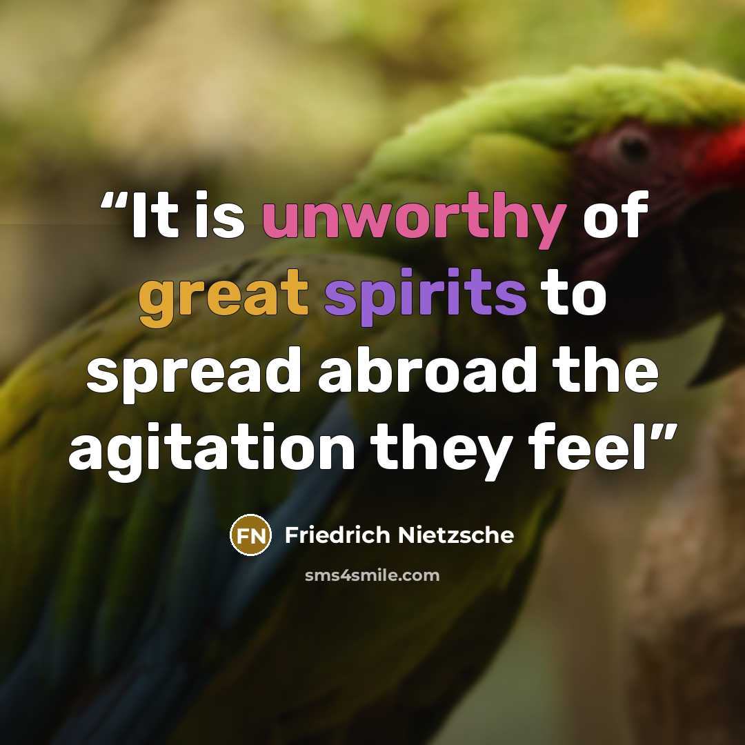 “It is unworthy of great spirits to spread abroad the agitation they feel” quote by Friedrich Nietzsche