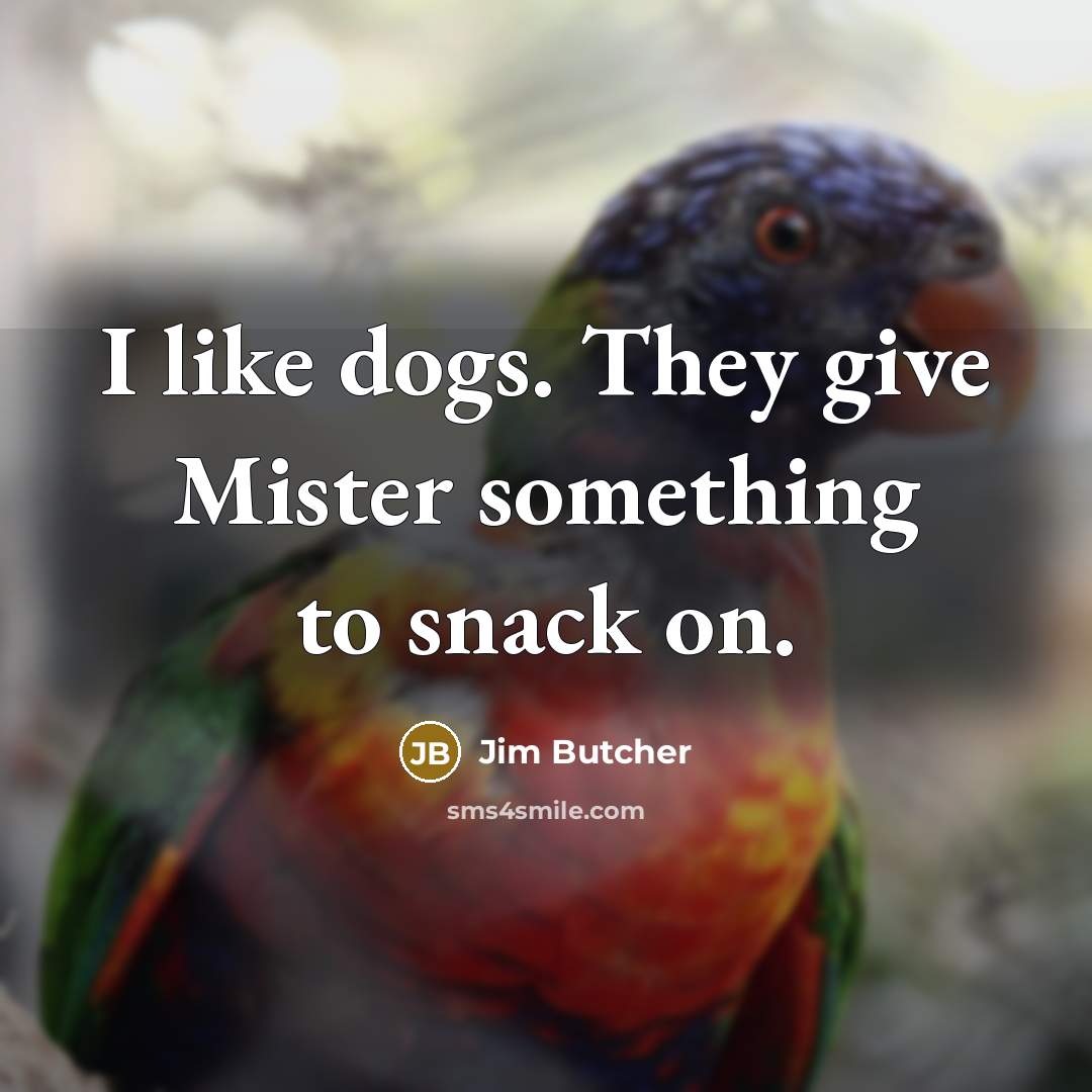 “I like dogs. They give Mister something to snack on.” quote by Jim Butcher
