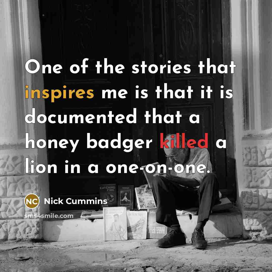 “One of the stories that inspires me is that it…” quote by Nick Cummins