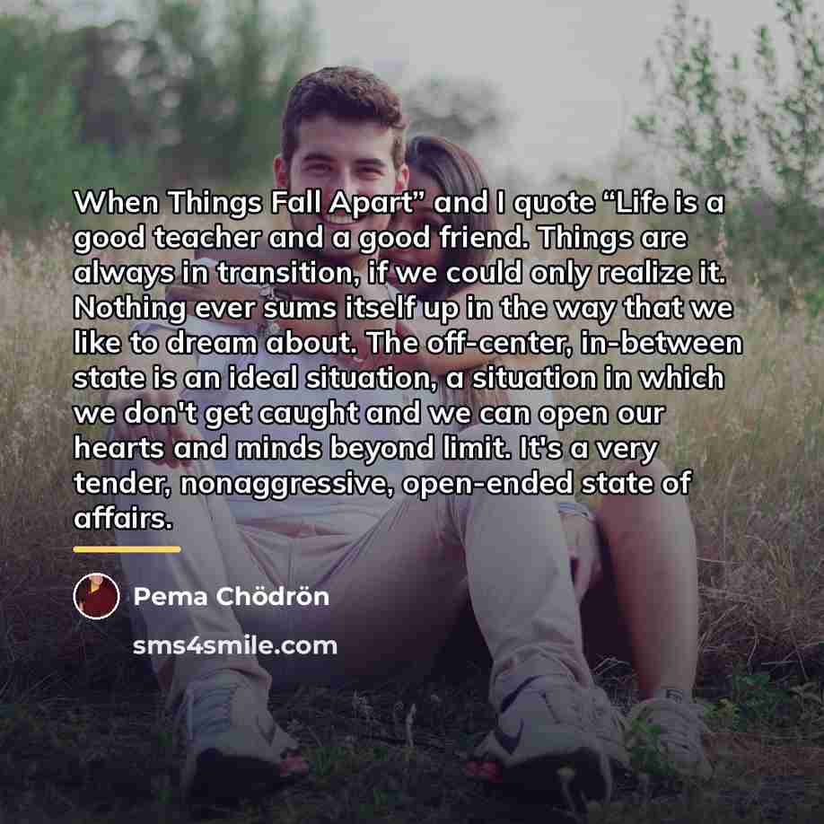 “When Things Fall Apart” and I quote “Life is a…” quote by Pema Chodron