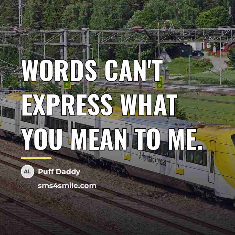 “Words can't express what you mean to me.…” quote by Puff Daddy