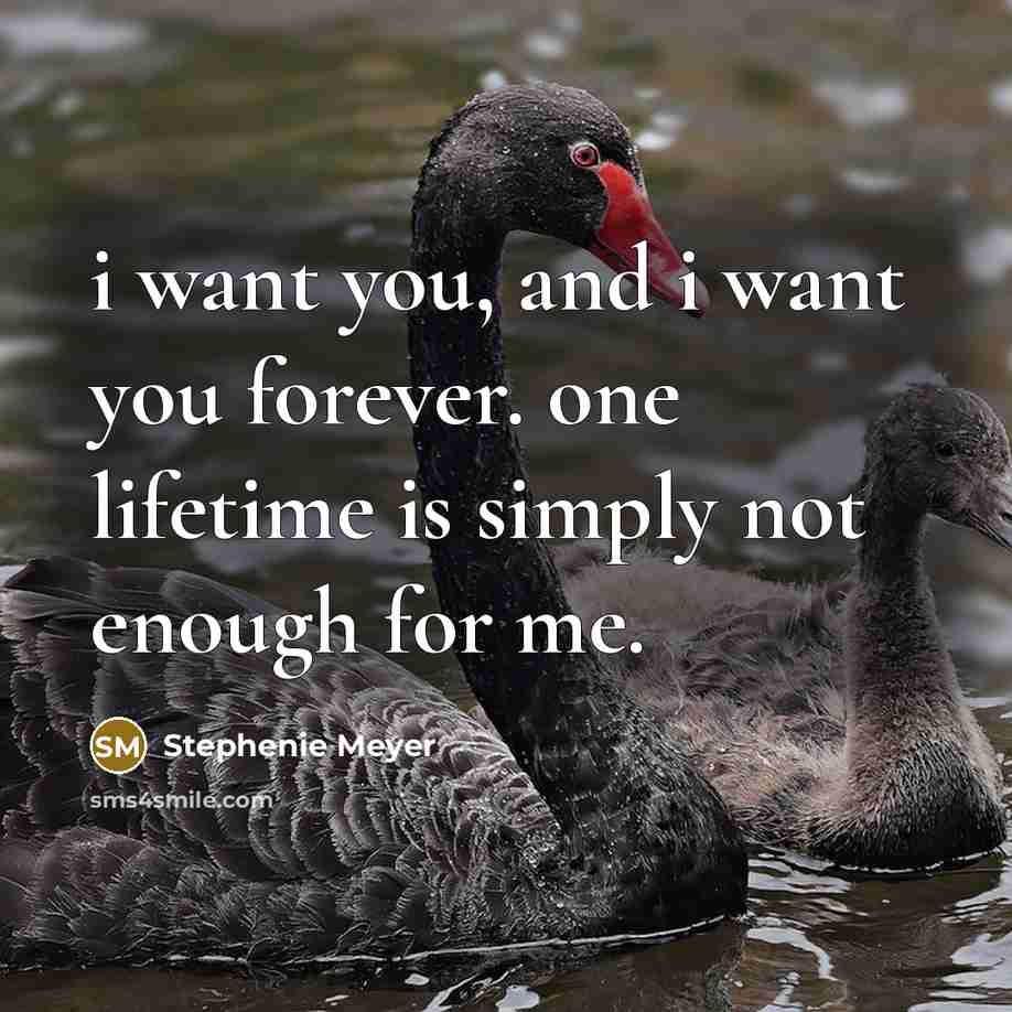 “i want you, and i want you forever. one lifetime…” quote by Stephenie Meyer