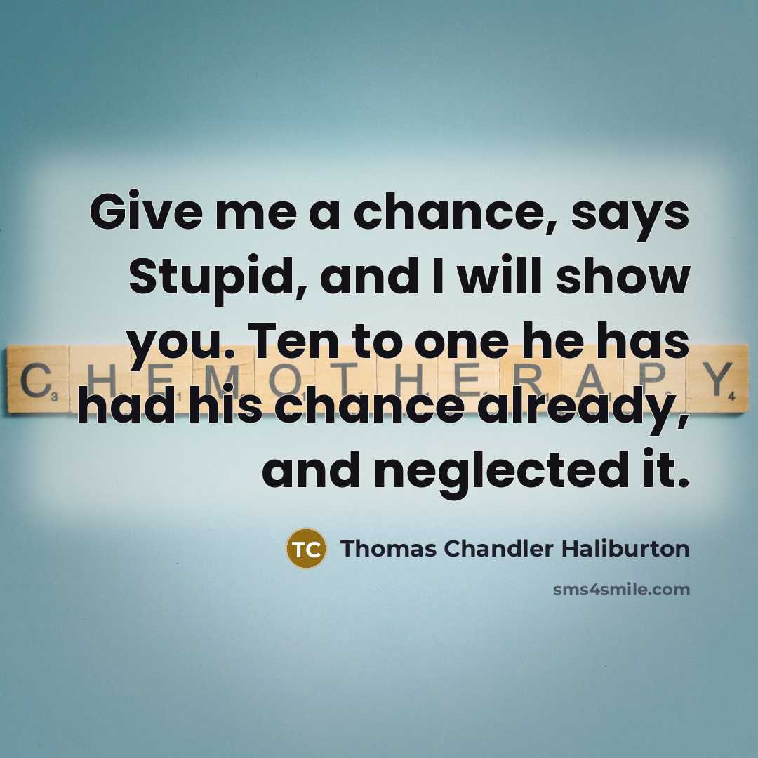 “Give me a chance, says Stupid, and I will show…” quote by Thomas Chandler Haliburton