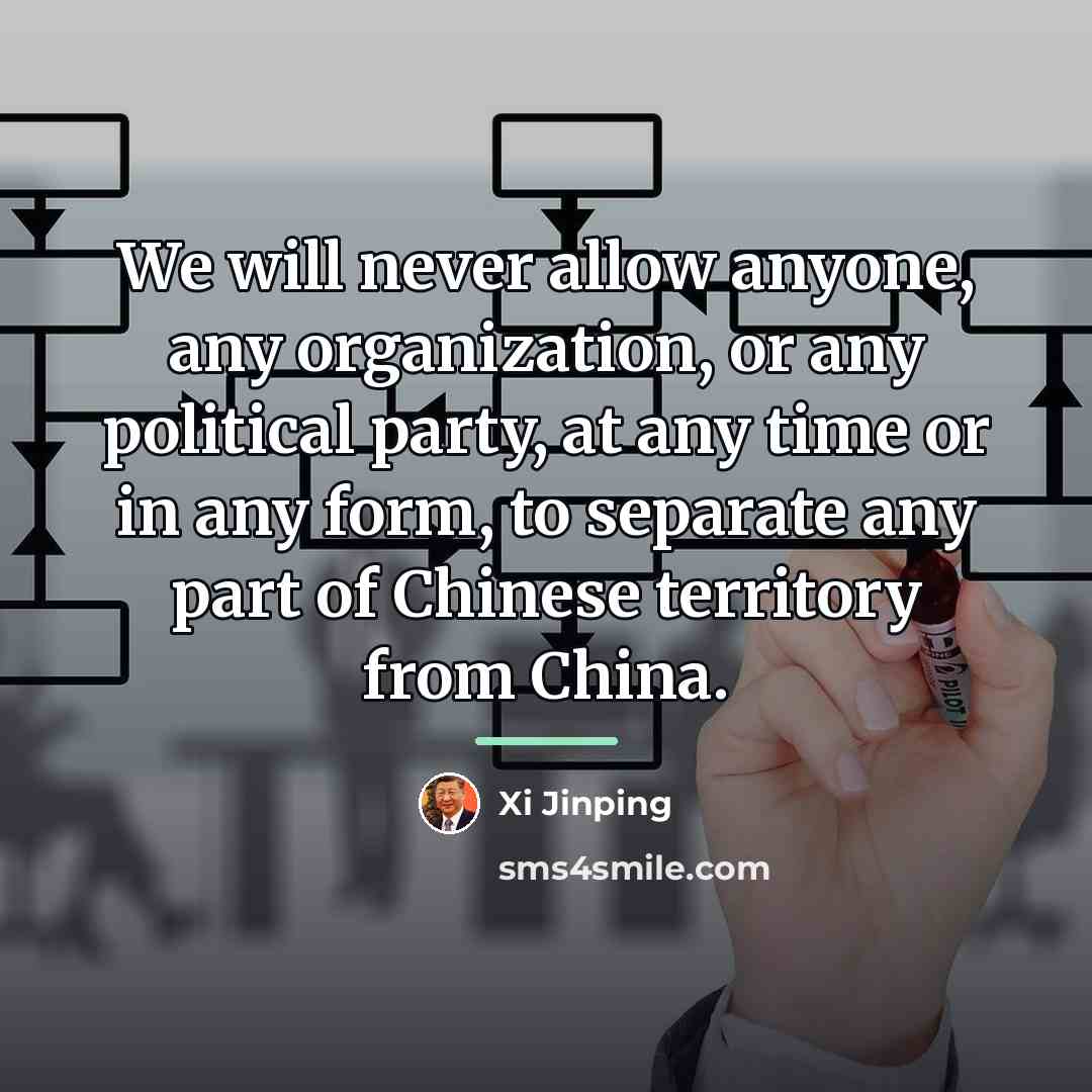 “We will never allow anyone, any organization, or any political…” quote by Xi Jinping