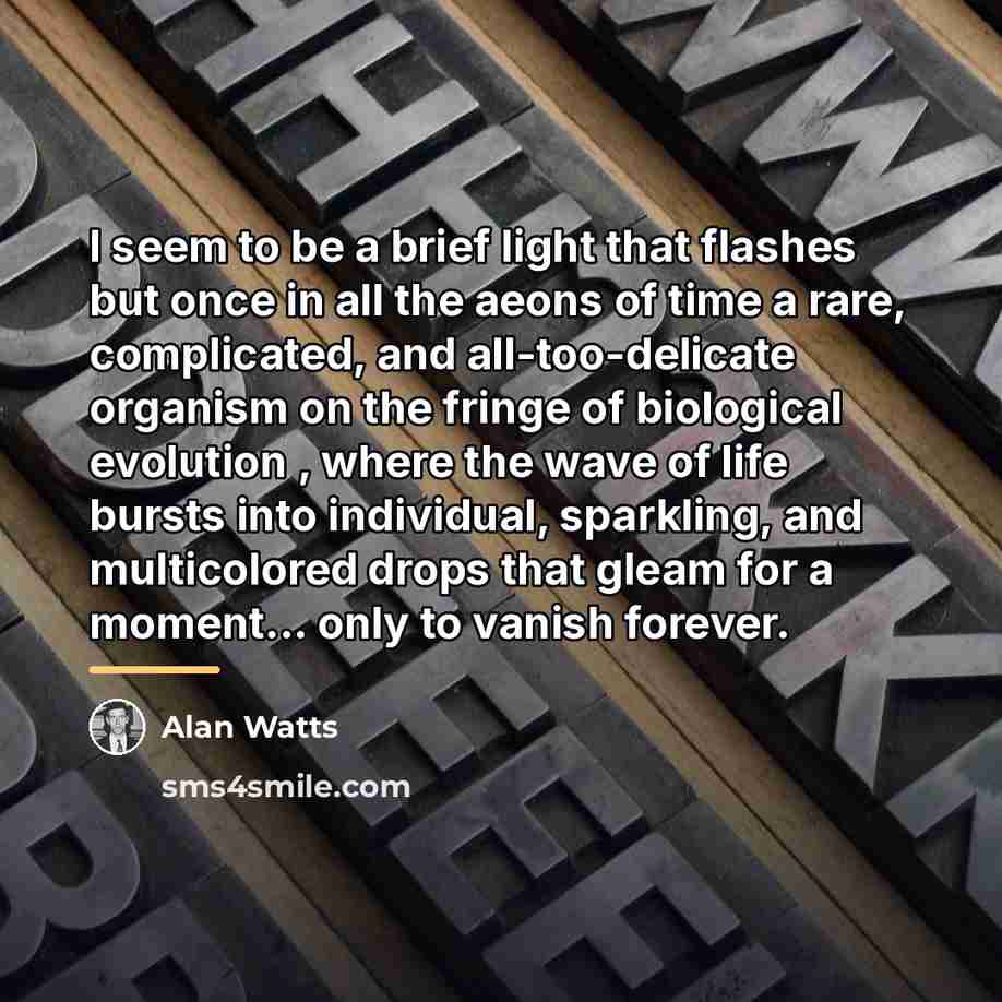 “I seem to be a brief light that flashes but…” quote by Alan Watts