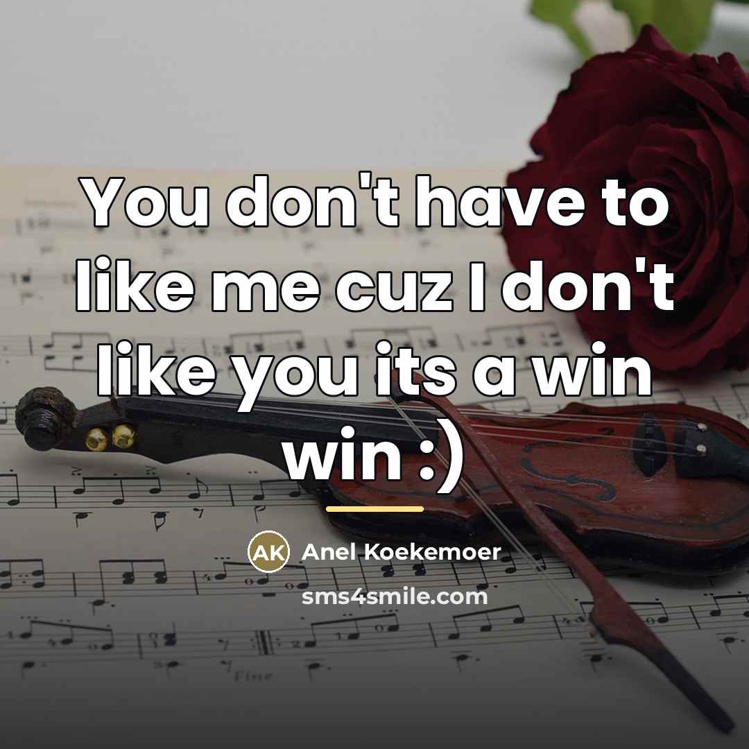 “You don't have to like me cuz I don't like…” quote by Anel Koekemoer