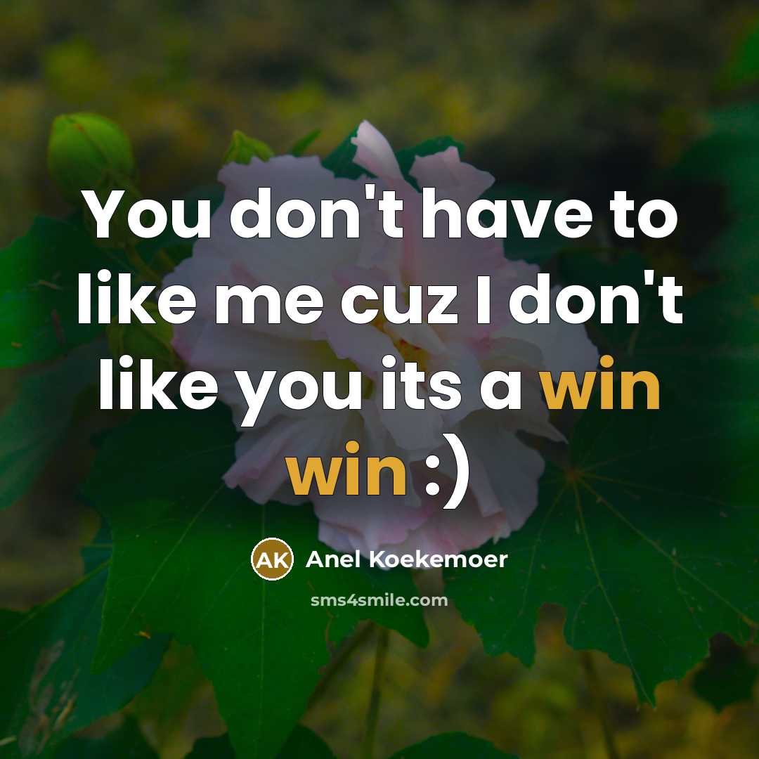 “You don't have to like me cuz I don't like you its a win win :)” quote by Anel Koekemoer