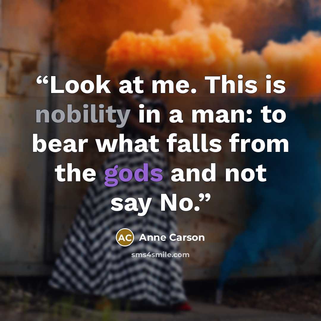 “Look at me. This is nobility in a man: to bear what falls from the gods and not say No.” quote by Anne Carson