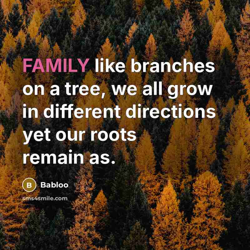 “FAMILY like branches on a tree, we all grow in…” quote by Babloo