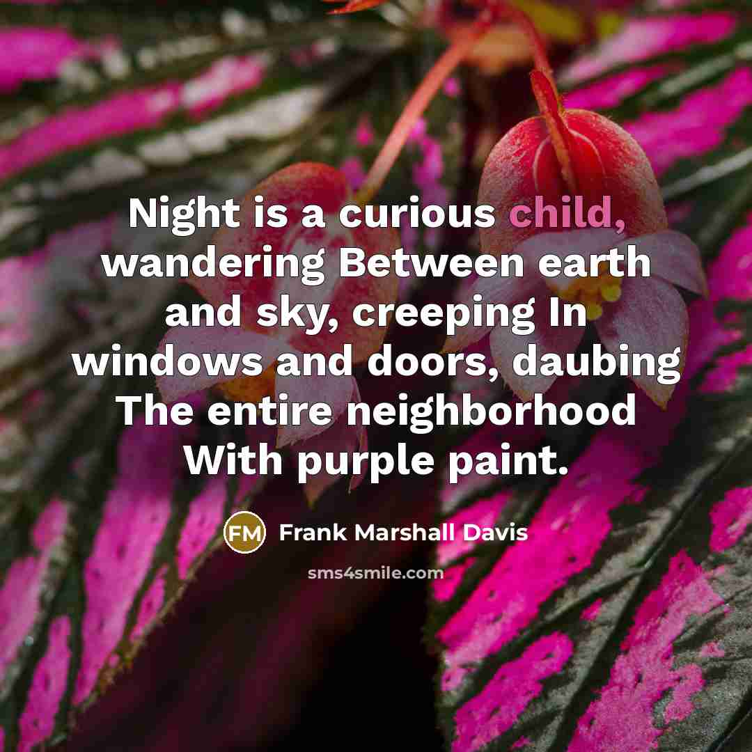 “Night is a curious child, wandering Between earth and sky,…” quote by Frank Marshall Davis