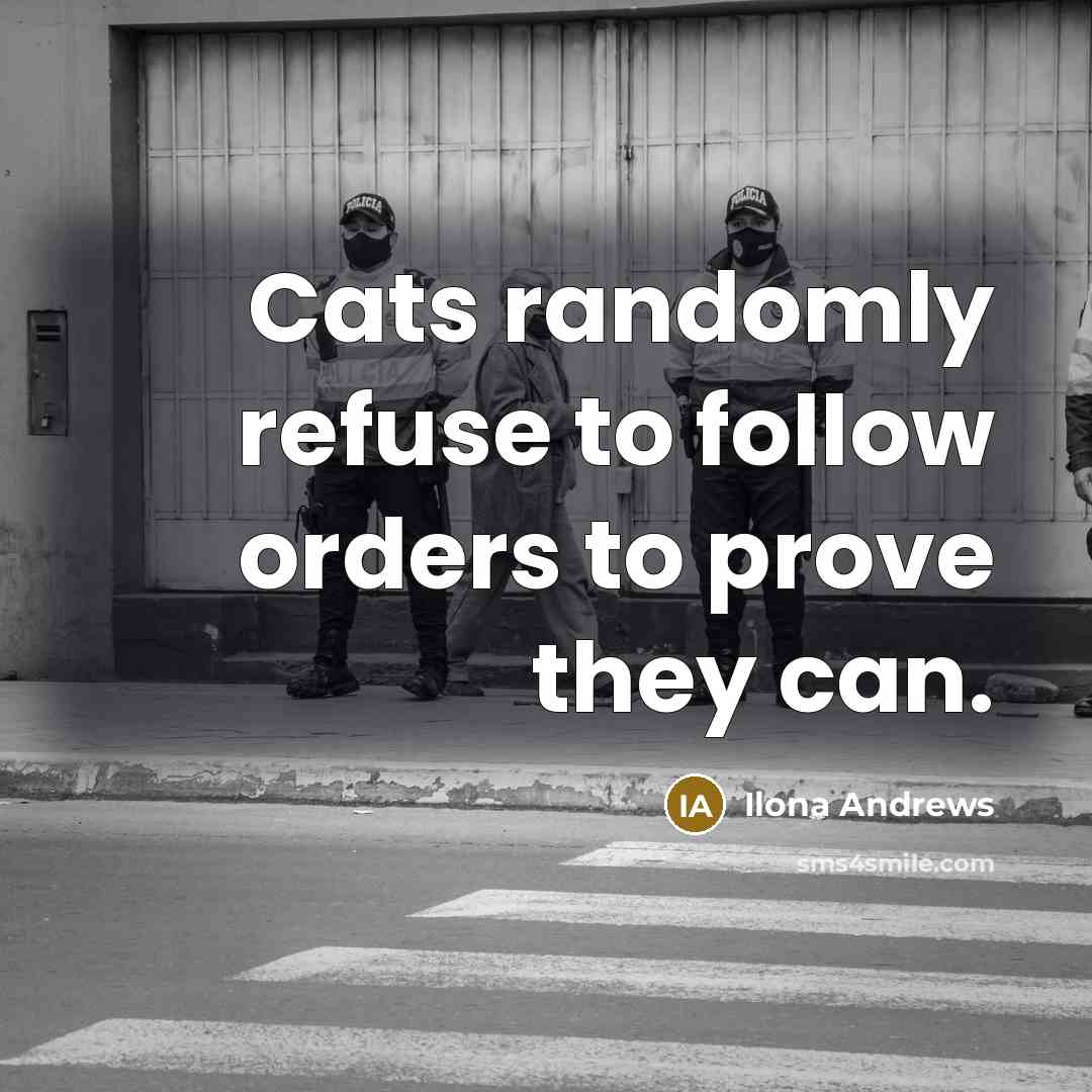 “Cats randomly refuse to follow orders to prove they can.…” quote by Ilona Andrews