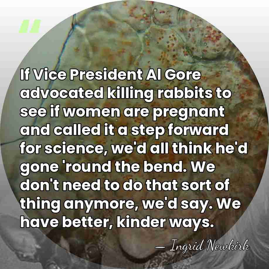 If Vice President Al Gore advocated killing rabbits to see if women&hellip; - Ingrid Newkirk
