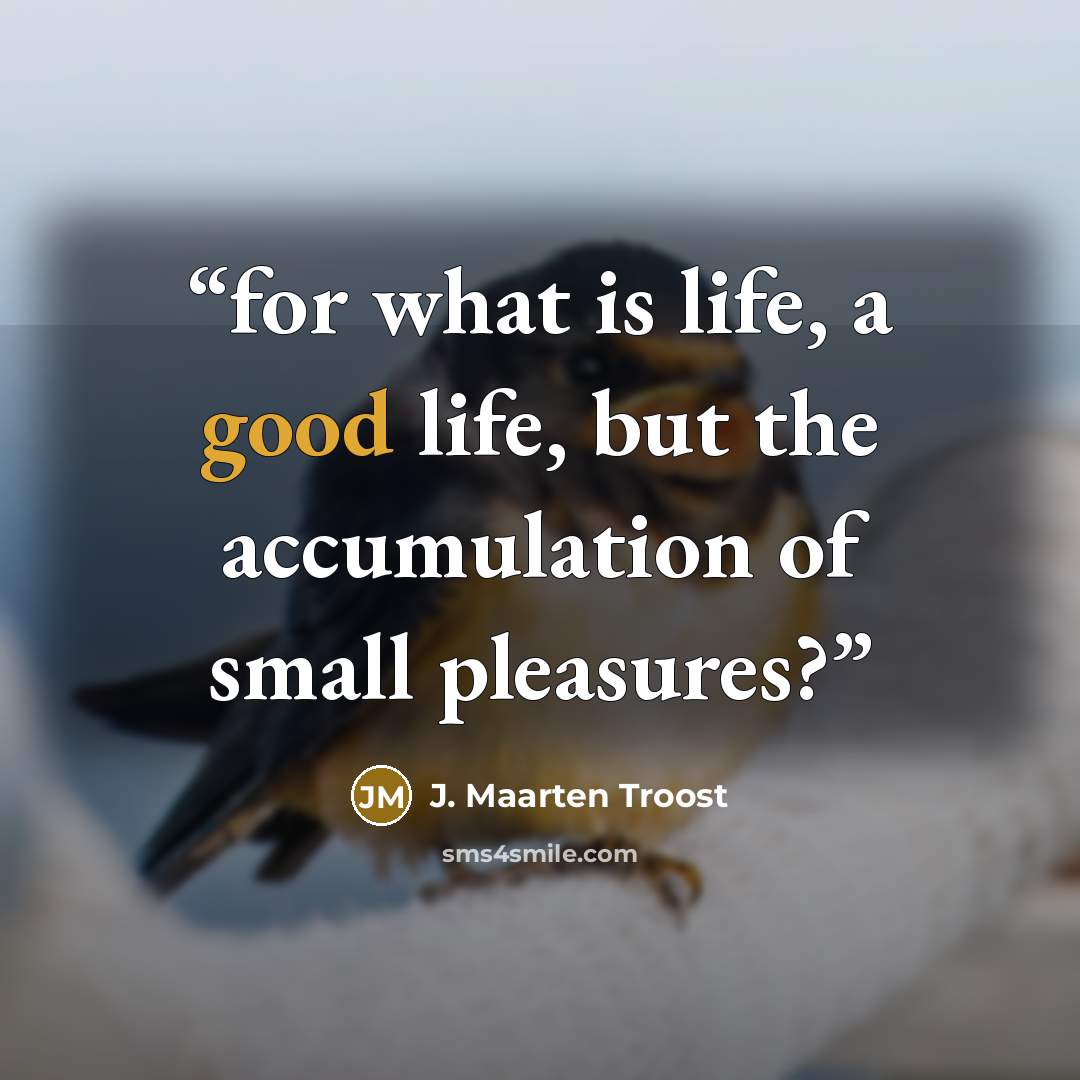“for what is life, a good life, but the accumulation of small pleasures?” quote by J. Maarten Troost