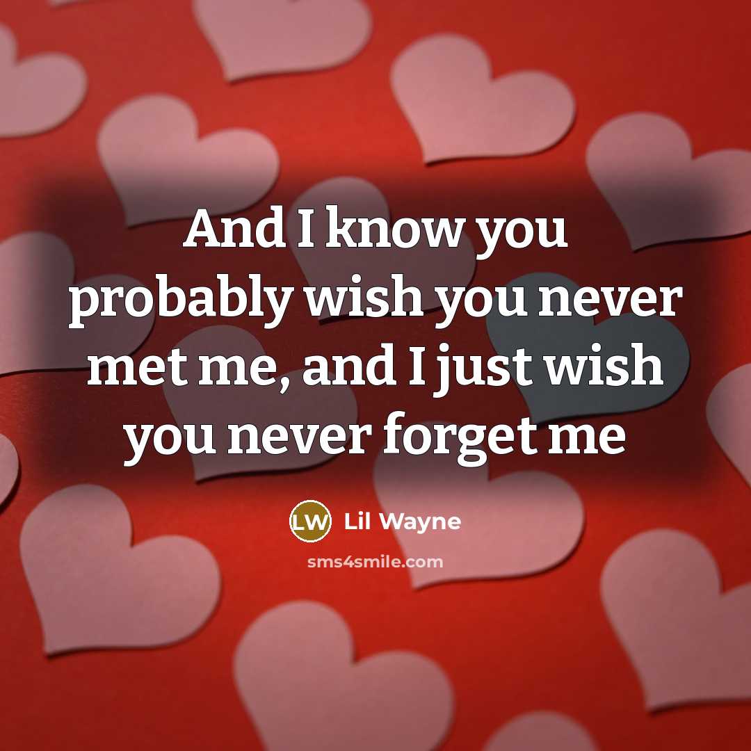 “And I know you probably wish you never met me,…” quote by Lil Wayne
