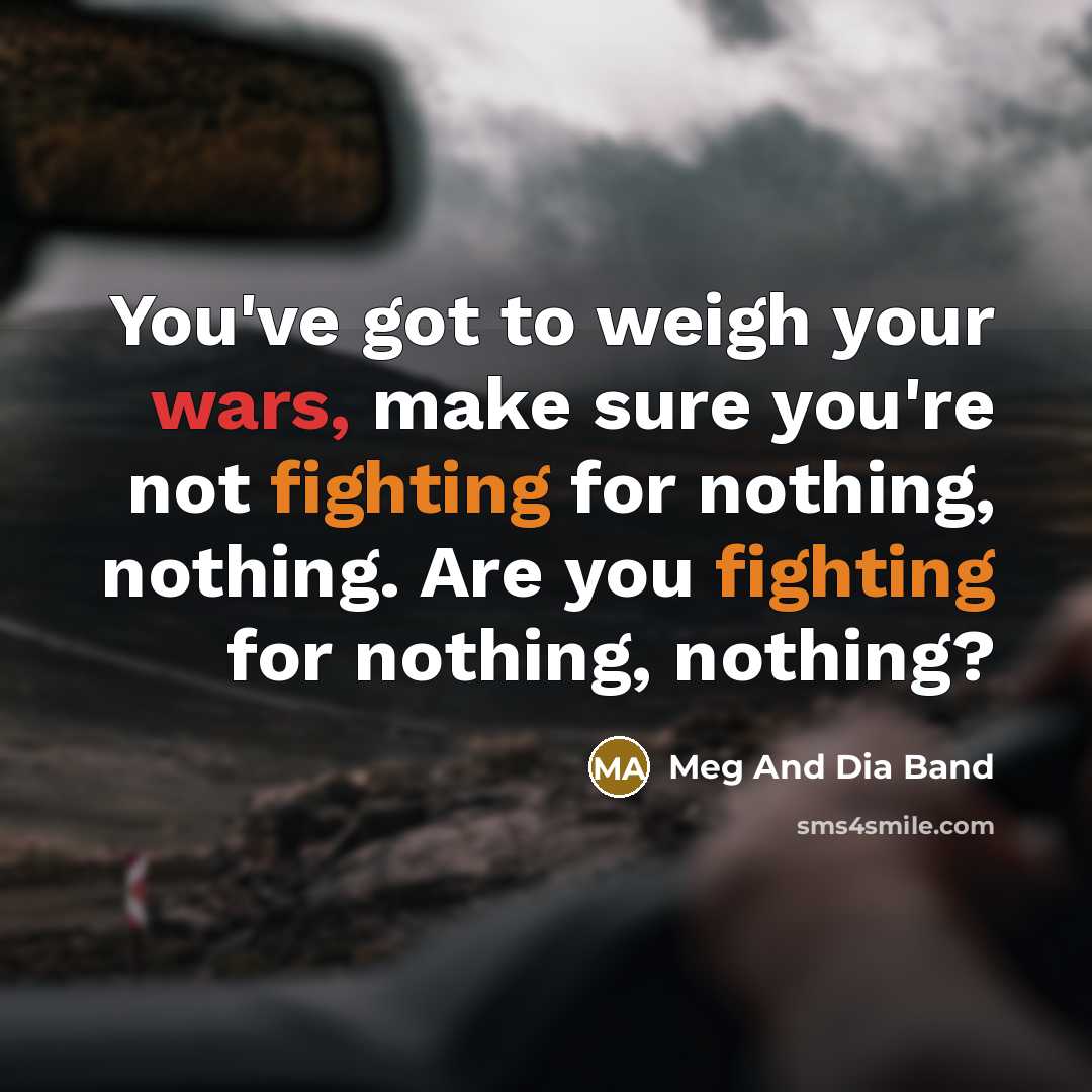 “You've got to weigh your wars, make sure you're not fighting for nothing, nothing. Are you fighting for nothing, nothing?” quote by Meg And Dia Band
