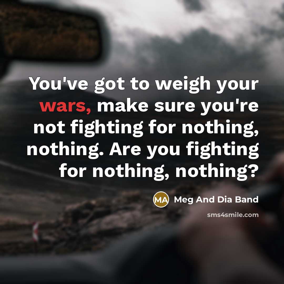 “You've got to weigh your wars, make sure you're not fighting for nothing, nothing. Are you fighting for nothing, nothing?” quote by Meg And Dia Band
