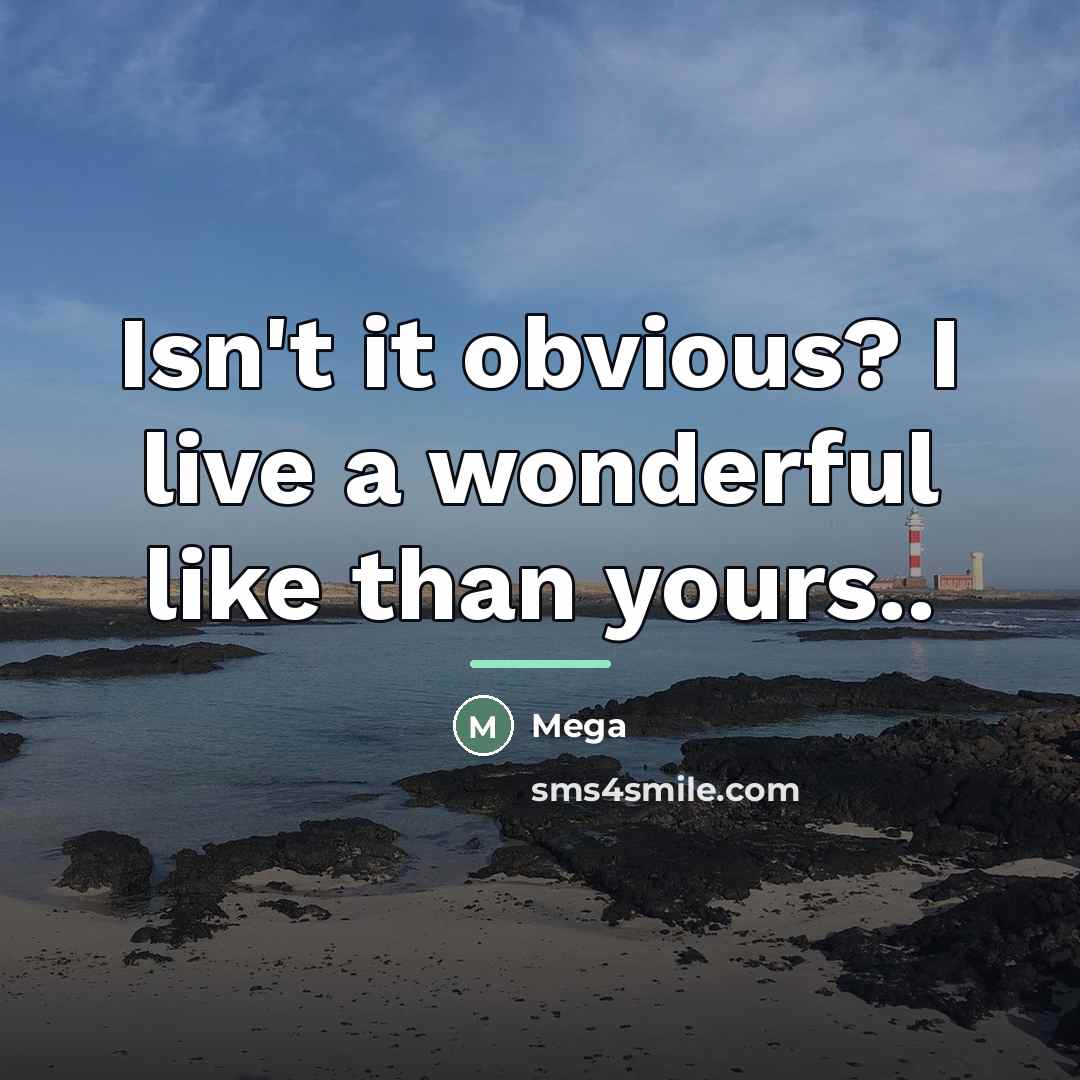 “Isn't it obvious? I live a wonderful like than yours..…” quote by Mega