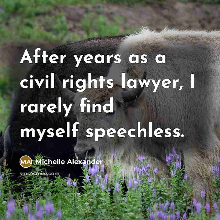 “After years as a civil rights lawyer, I rarely find…” quote by Michelle Alexander