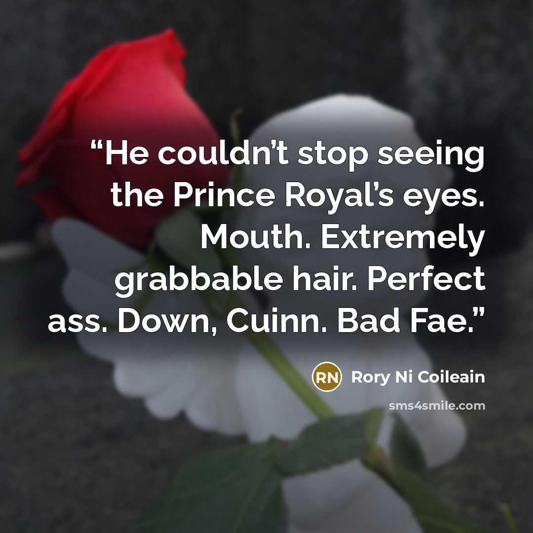 “He couldn’t stop seeing the Prince Royal’s eyes. Mouth. Extremely grabbable hair. Perfect ass. Down, Cuinn. Bad Fae.” quote by Rory Ni Coileain