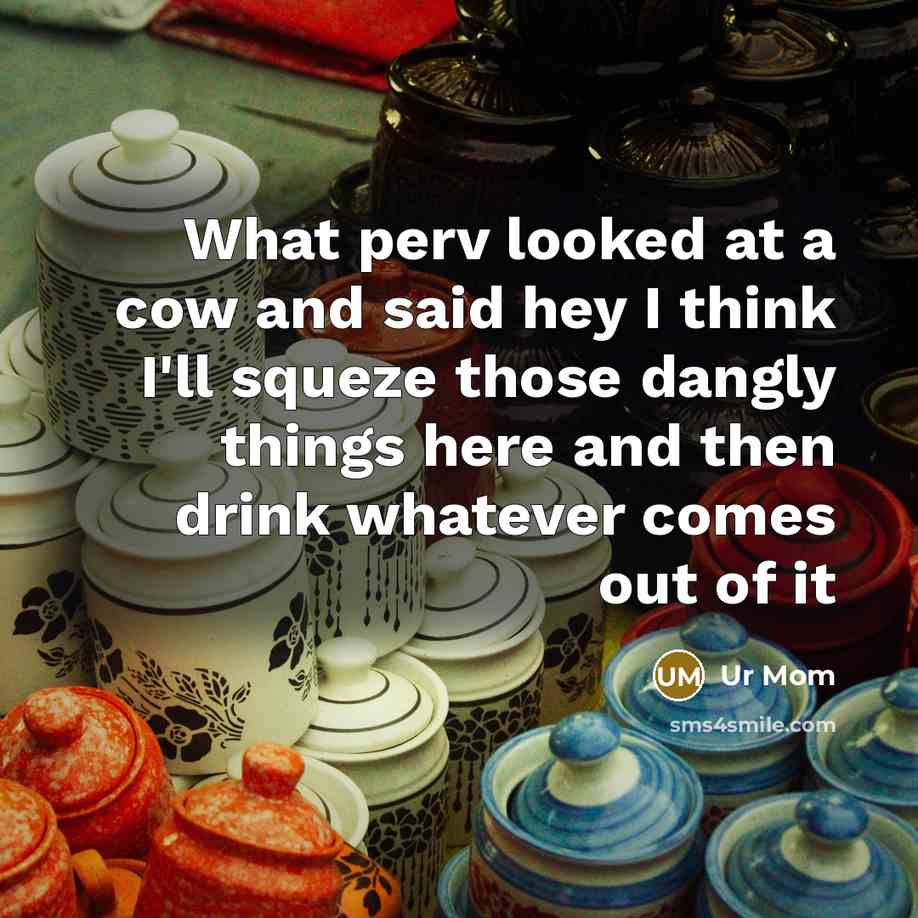 “What perv looked at a cow and said hey I think I'll squeze those dangly things here and then drink whatever comes out of it” quote by Ur Mom