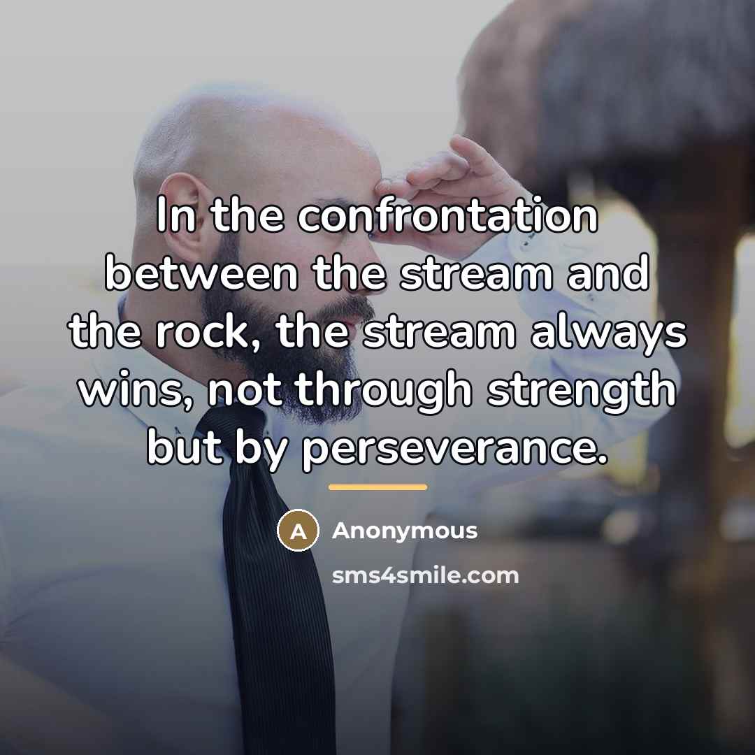 “In the confrontation between the stream and the rock, the…” quote by Anonymous