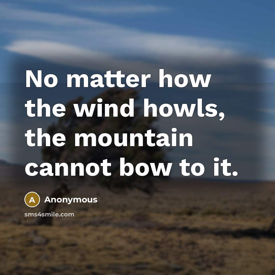 “No matter how the wind howls, the mountain cannot bow…” quote by Anonymous