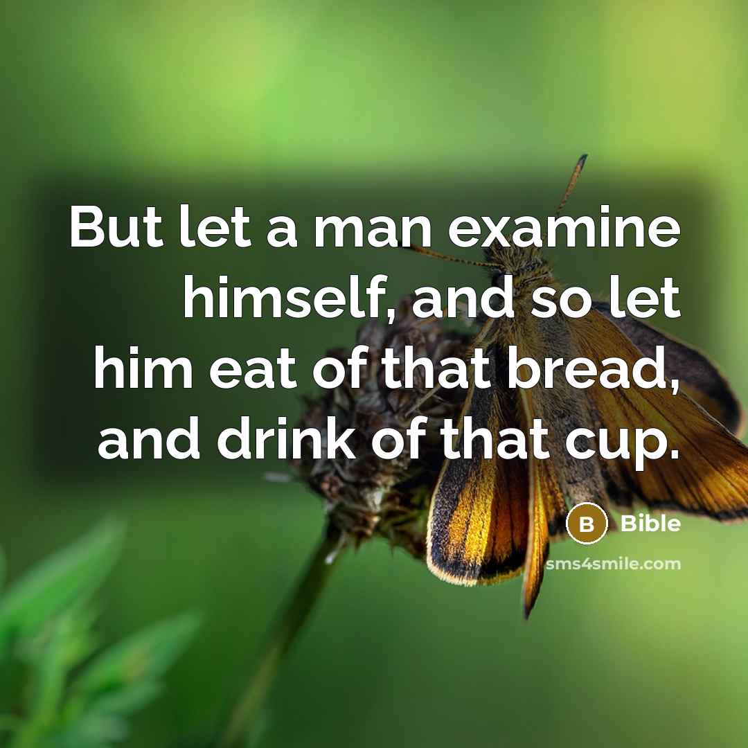 “But let a man examine himself, and so let him…” quote by Bible