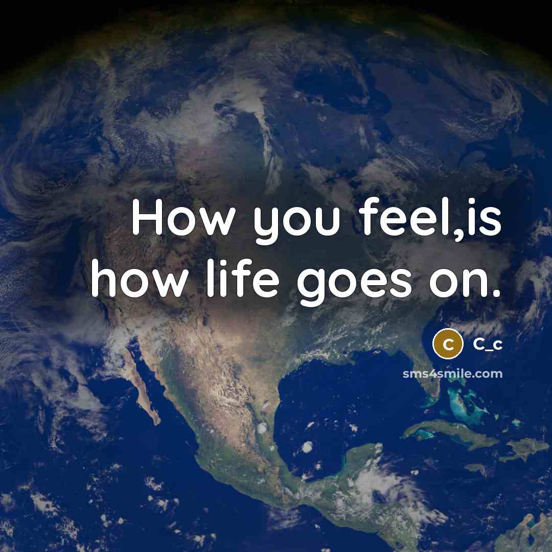 “How you feel,is how life goes on.” quote by C_c