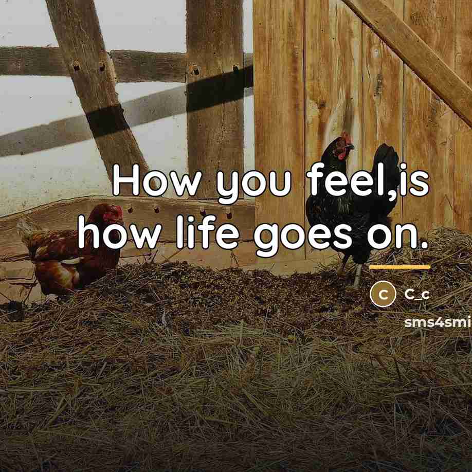 “How you feel,is how life goes on.…” quote by C_c