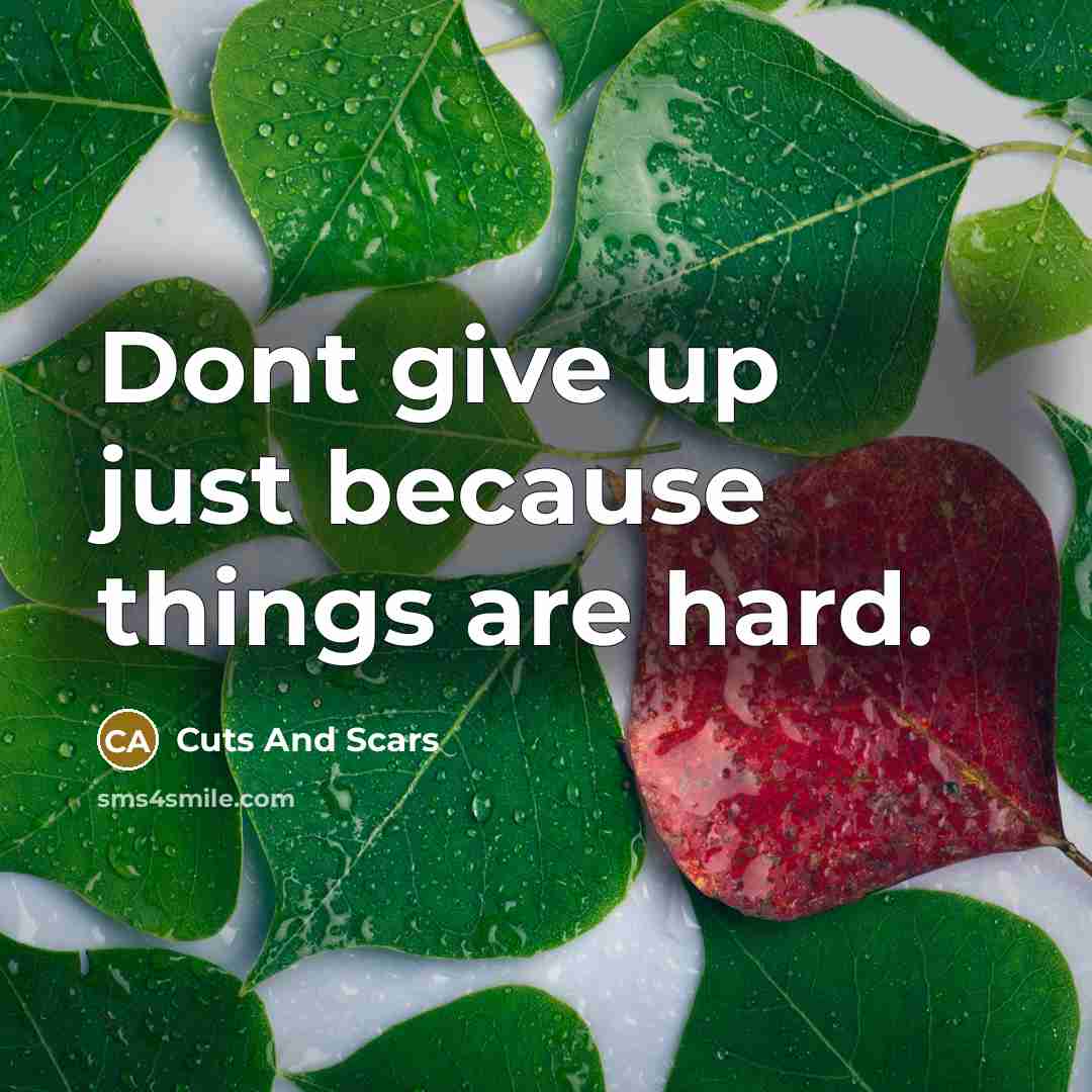 “Dont give up just because things are hard.…” quote by Cuts And Scars