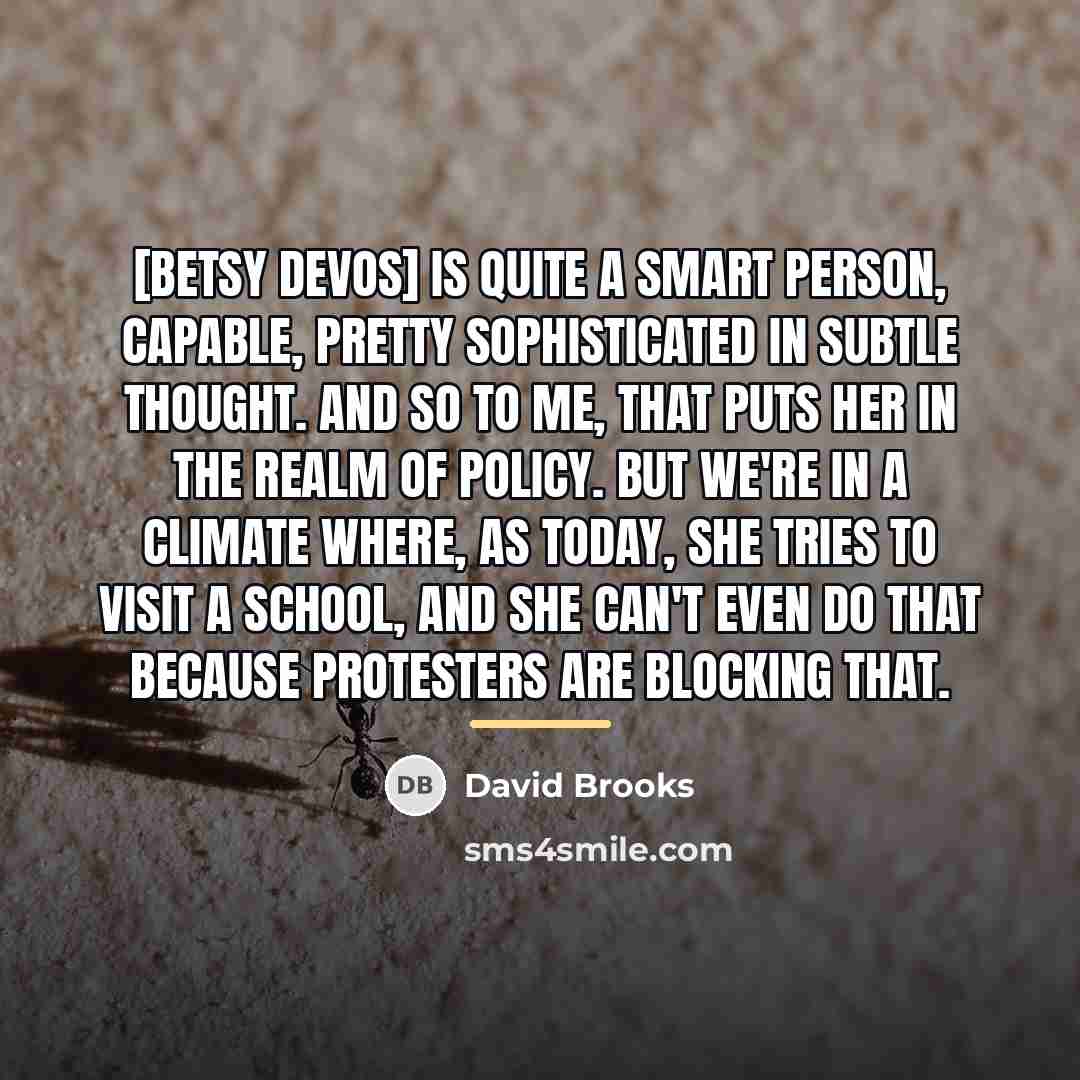 “[Betsy DeVos] is quite a smart person, capable, pretty sophisticated…” quote by David Brooks