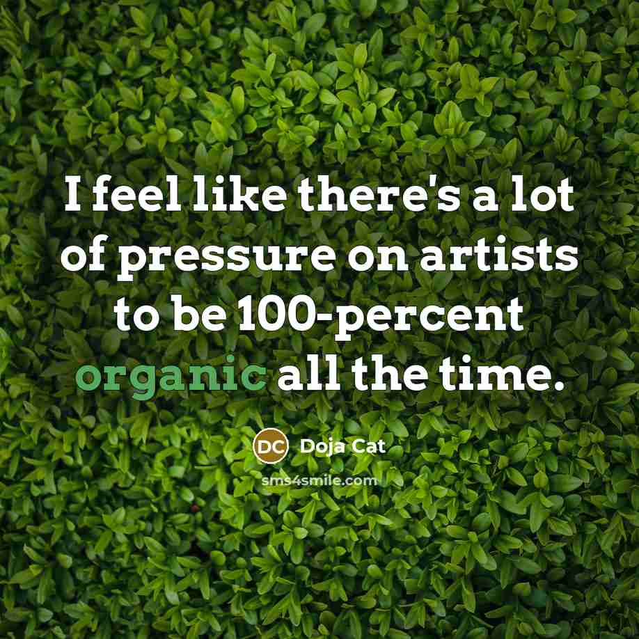 “I feel like there's a lot of pressure on artists…” quote by Doja Cat