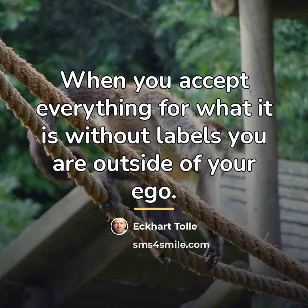 “When you accept everything for what it is without labels…” quote by Eckhart Tolle