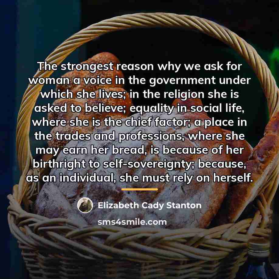 “The strongest reason why we ask for woman a voice…” quote by Elizabeth Cady Stanton